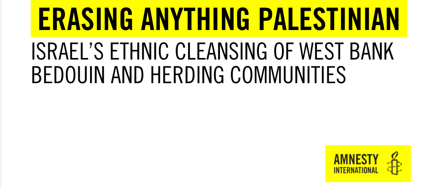 Erasing Anything Palestinian – Amnesty International