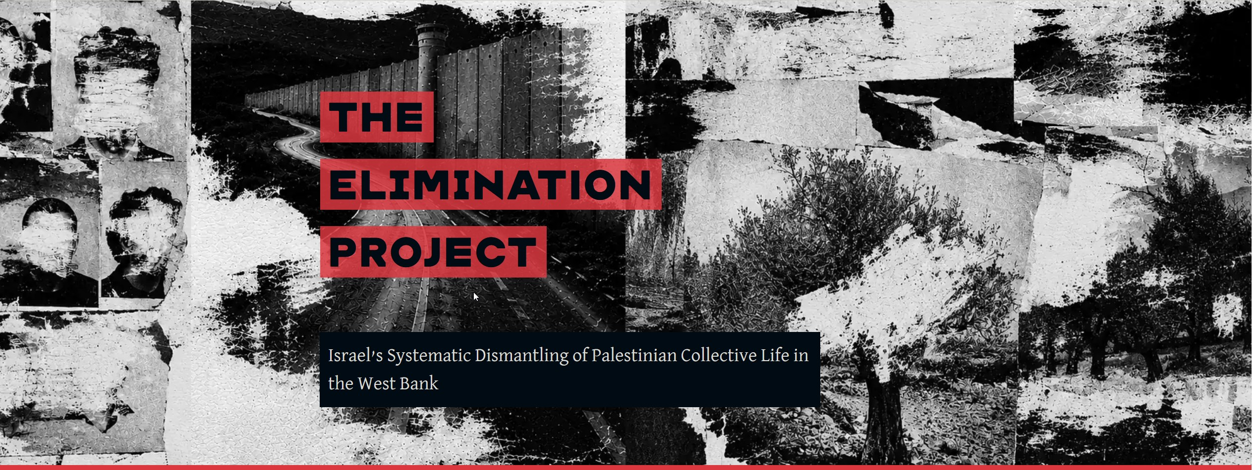 B’Tselem Report - “The Elimination Project”